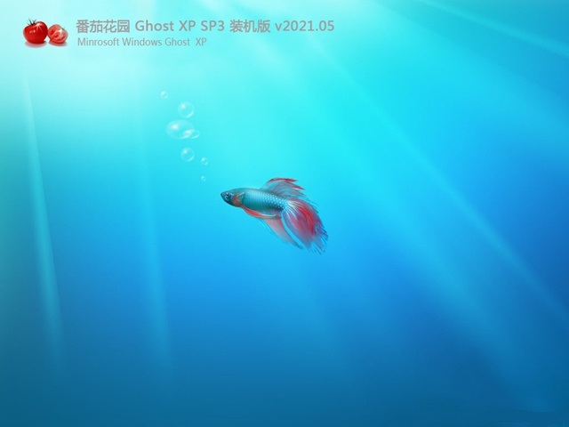 番茄家园GHOST XP SP3 万能装机版 v2021.05