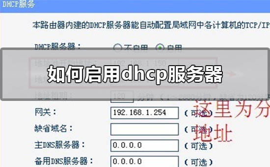 如何启用dhcp服务器