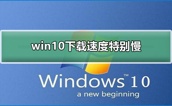 win10下载速度特别慢