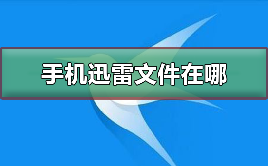 手机迅雷下载的文件在哪