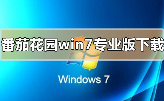 番茄花园win7专业版系统在哪下载