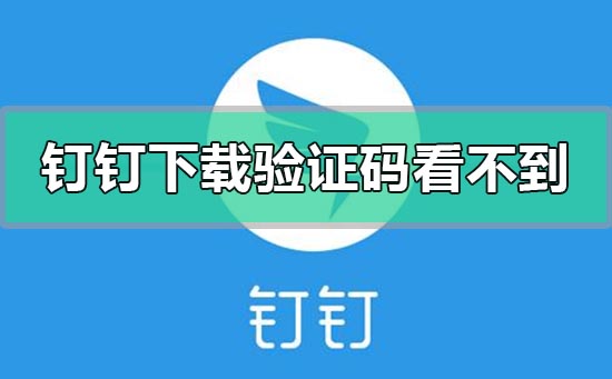 钉钉下载app验证码看不到刷不出来怎么办