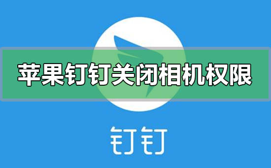 苹果钉钉怎么关闭摄像头相机权限