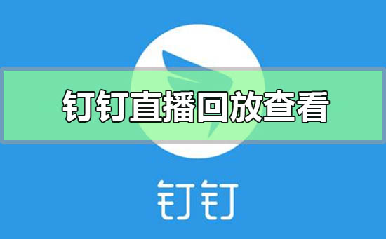 钉钉直播回放在哪里怎么看