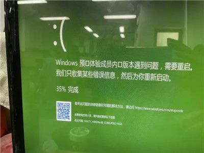 win11开机绿屏解决教程