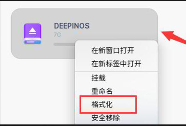 deepinu盘格式化教程